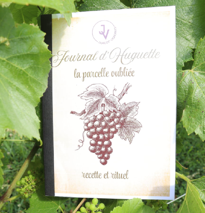 La parcelle oubliée&nbsp;: notre escape game grandeur nature dans les vignes